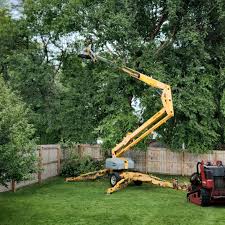 Trusted Slinger, WI Tree Removal and Landscaping Services Experts